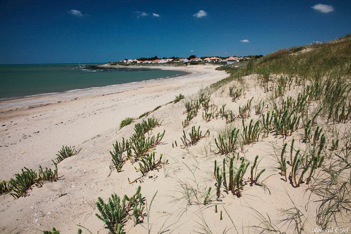 Camping proche plage Vendée