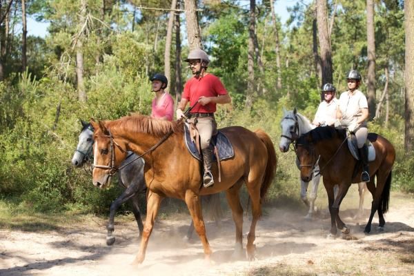 camping acceptant les animaux proche balade à cheval